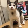 サイトに掲載されていた写真。これでメロメロに♪