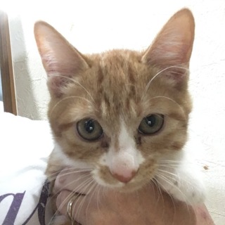 ありがとうございました