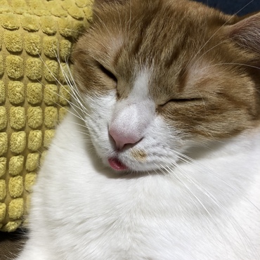 の写真