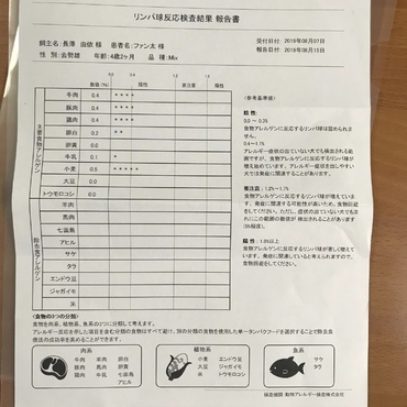 アレルギー抗体検査の結果②