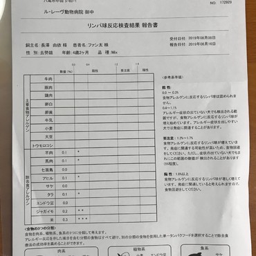 アレルギー抗体検査の結果③