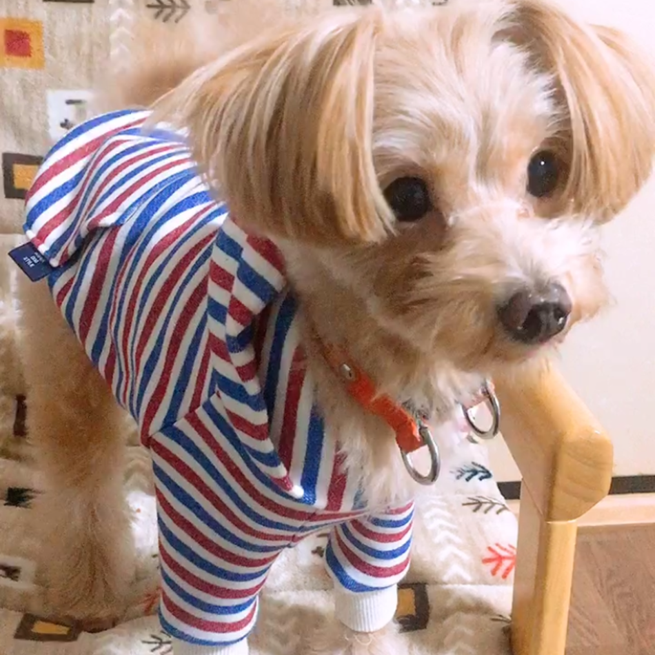 ゆきのカバー写真