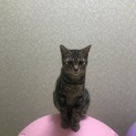 里親様決まりました！