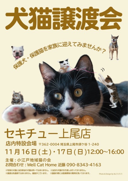 セキチュー上尾店猫の里親会」（富士見さくらねこ応援団のイベント