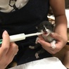 保護2日目
