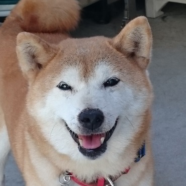 の写真