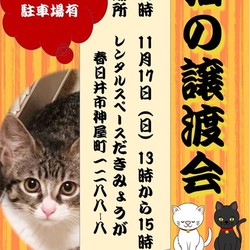 猫の譲渡会by春日井さくら猫の会