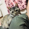 たまみちゃん＊