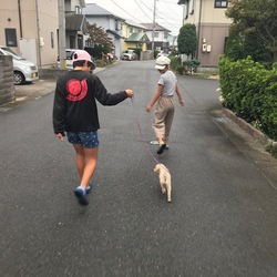 初めてのお散歩