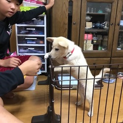 なんという成長の速さ！