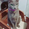 の写真