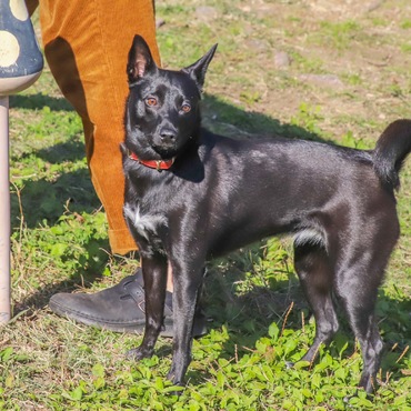 毎日楽しいねえ！