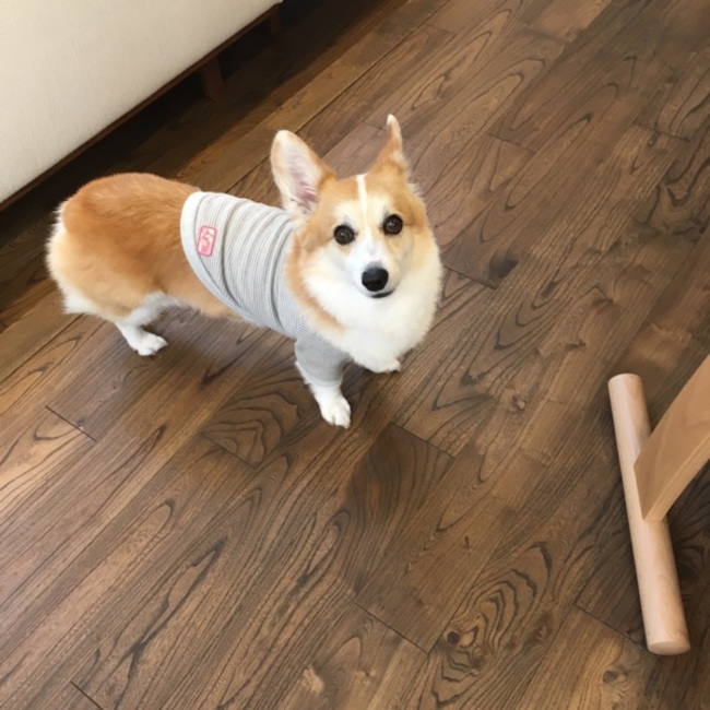 takumi0307のカバー写真