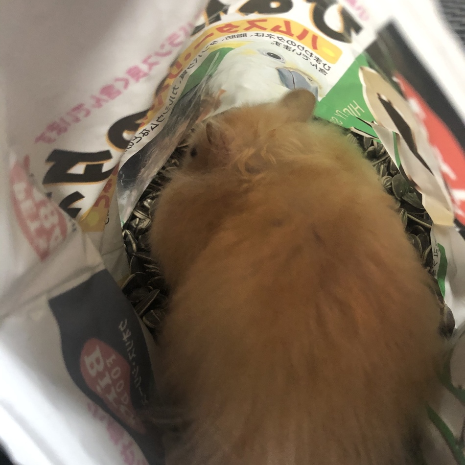 ゆずのカバー写真