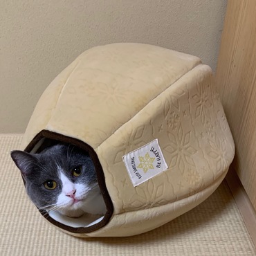 の写真