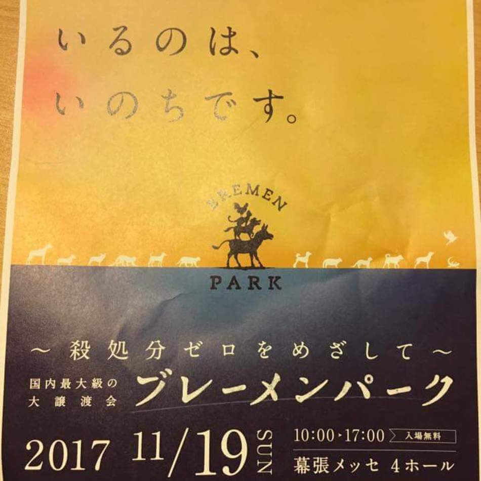 ♡アヴィ♡ハク♡のカバー写真