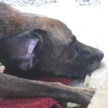 亡くなってから４年以上でも忘れてないよ！