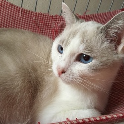 ゆきちゃん その後