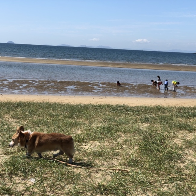 はは はんこのカバー写真