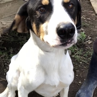 里親さんが決定しました！