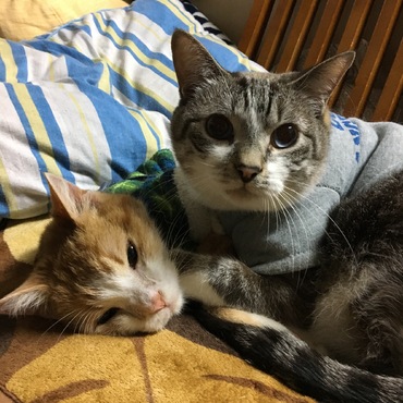 大好きなむねおが卒業して、寂しげなイシちゃん