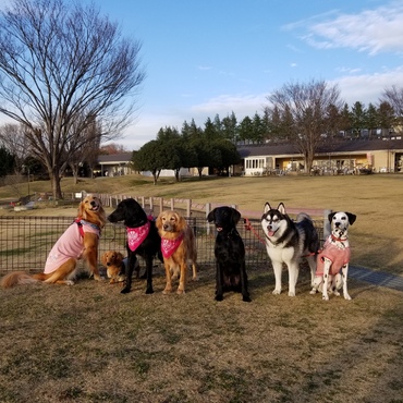 友達とドッグラン