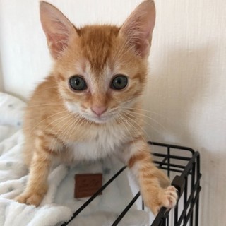 お問い合わせがあり一旦停止中です