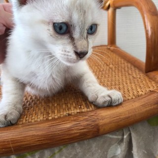 お問い合わせがあり一旦停止中です