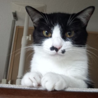 甘え下手？でも実は甘えん坊