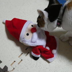 サンタが遊びにやってきた