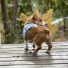 沢山のご応募頂きありがとうございました！ サムネイル3