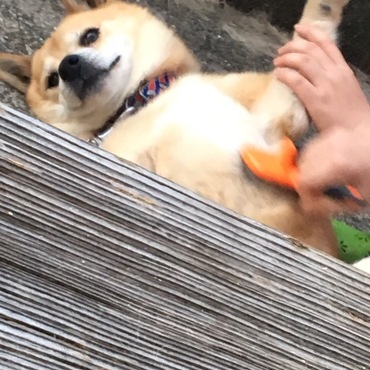 の写真
