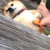 の写真
