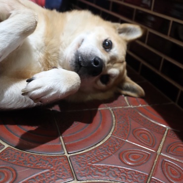 の写真