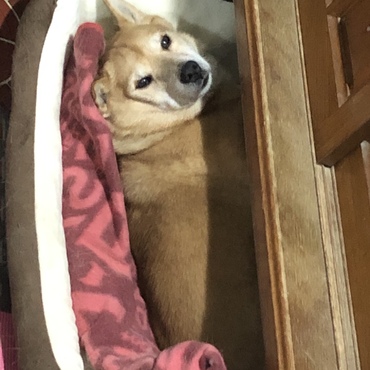 の写真