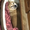 の写真
