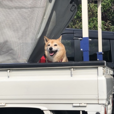 の写真