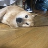 の写真