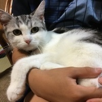 ふくもち