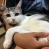 ふくもち