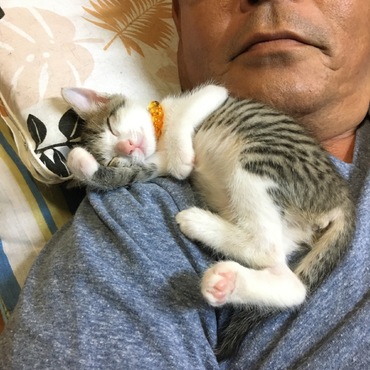 爆睡にゃ