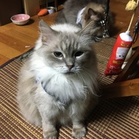 そーとー