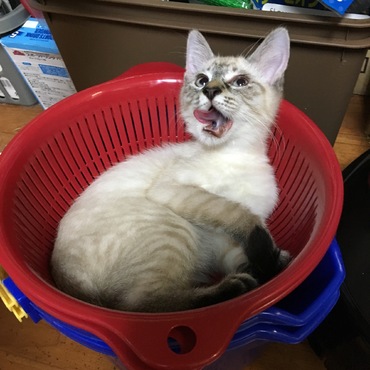 の写真