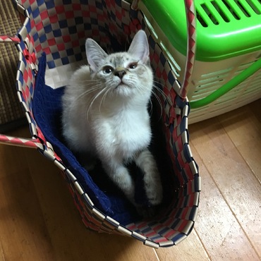 の写真