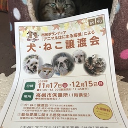 アニマルはにまる高槻による犬・猫譲渡会