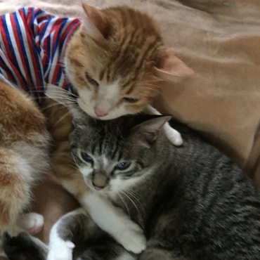 むねおが、とてもイシちゃんを可愛がってくれました