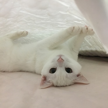 見つかっちゃった>_<