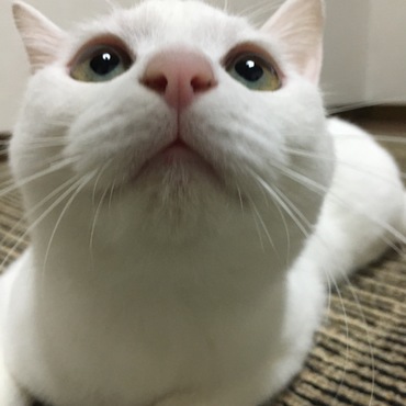 の写真