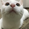 の写真