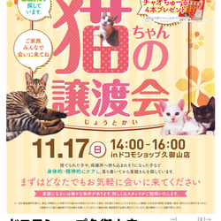 ねこの譲渡会＠ドコモショップ  サムネイル1